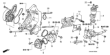 Diagram for Honda Element Water Pump Gasket - 19222-RAA-A01