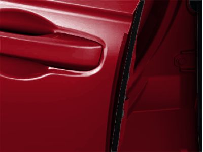 Honda Door Edge Guard 08P20-30A-1A0