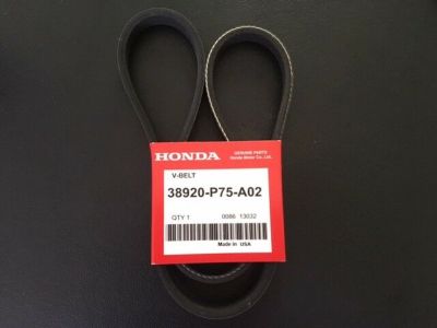 Honda CRX Drive Belt & V Belt - 38920-P75-A02