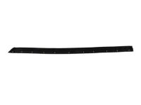 Honda 72867-SJC-A02 Seal, L. RR. Door Side Sill