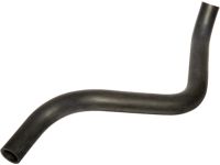 Honda 19502-R53-A00 Hose, Water (Lower)