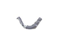 Honda 19509-RTB-000 Hose, Throttle Body Outlet