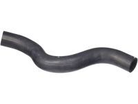 Honda 19501-5K0-A00 Hose, Water (Upper)