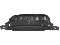 Honda 71103-T3W-A00 Lower Grille, Front Bumper