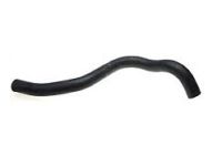 Honda 19502-P8F-A00 Hose, Water (Lower)