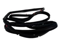 Honda 72350-T2F-A01 Weatherstrip, L. FR.