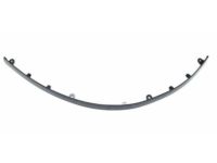 Honda 71110-T2A-A00 Lip Spoiler, Front Bu