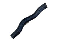 Honda 19501-RV0-A00 Hose, Water (Upper)