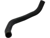 Honda 19505-RAA-A00 Hose, Water (Lower)