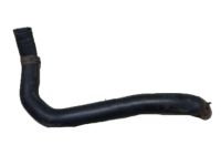 Honda 19502-R5C-A00 Hose, Water Lower