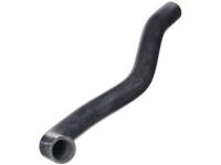 Honda 19501-RAA-A00 Hose, Water (Upper)