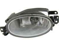 Honda 33951-TR0-A51 Foglight Unit, Driver Side (C