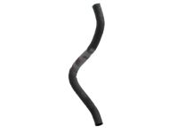 Honda 19502-5G0-A50 Hose, Water Lower