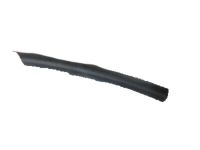 Honda 73254-T7W-A01 Rubber C, L.