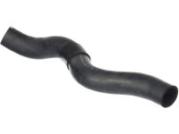 Honda 19501-RGL-A00 Hose, Water (Upper)