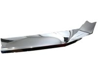 Honda 71124-TRW-A11 Lower Molding R, FR.