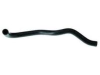 Honda 19502-PCX-010 Hose, Water (Lower)