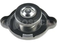 Honda 19045-PT0-003 Cap (Denso) Honda 19045-PT0-003 Cap (Denso)