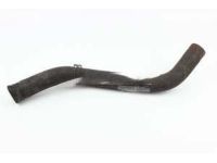 Honda 19502-6C1-A01 Hose, Water (Lower)