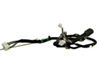 Honda 32109-TK8-A10 Sub-Harness, Tailgate