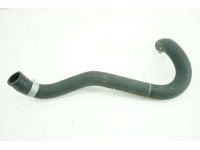 Honda 19504-RRA-A01 Hose, Water (Lower)