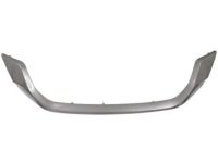 Honda 71122-T2F-A01ZB Molding,FR G*NH762X*