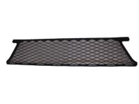 Honda 71107-TGH-A00 Mesh, Front Bumper