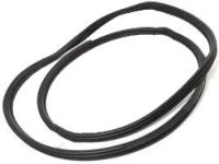 Honda 72850-TLA-A01 Weatherstrip, L. RR. Door