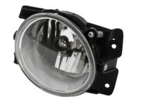 Honda 33951-SZA-305 Foglight Unit, Driver Side (Coo)