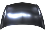 Honda 60100-SLN-A90ZZ Hood, Engine (DOT)