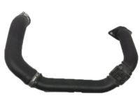 Honda 17282-5AA-A01 Hose,Intcler Inle