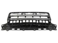 Honda 71107-TGG-A50 Mesh, Front Bumper (Lower)