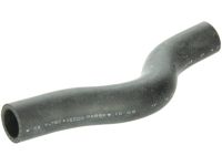 Honda 19501-PLC-000 Hose, Water (Upper)