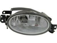 Honda 33901-TR0-A51 Foglight Unit, Passenger Side (C