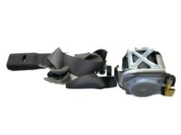 Honda 04813-TS8-A00ZA Buckle Set, R. FR. Seat Belt *NH686L* (WARM GRAY)