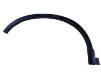 Honda 74410-SWW-G01 Protector, R. RR. Wheel Arch