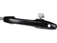 Honda 72180-SNE-C01 Handle Assembly, Driver Side Door (Outer)