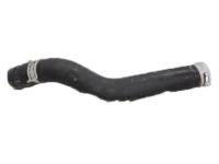 Honda 19501-6C1-A01 Hose, Water (Upper)