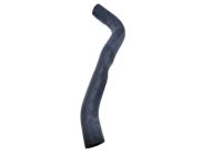 Honda 19502-51B-H00 Hose, Water (Lower)