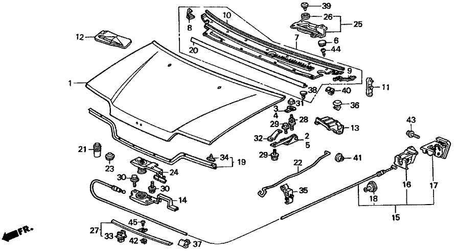 74177-sd4-000 - Genuine Honda Cushion A, Hood