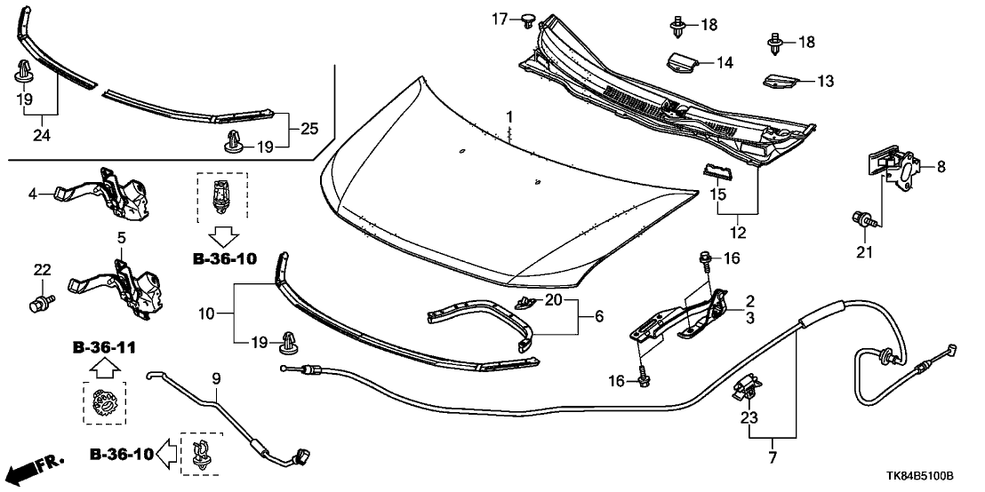 60100-TK8-A80ZZ - Genuine Honda Hood, Engine (DOT)