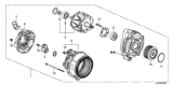 Diagram for Honda Alternator Pulley - 31141-RV0-A01