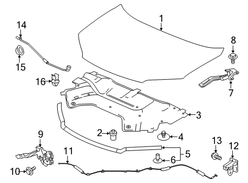 2022 Honda Pilot Hood & Components Diagram