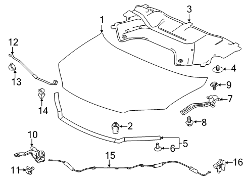 2019 Honda Ridgeline W-HOOD, ENGINE (DOT) Diagram for 60100-TG7-A92ZZ