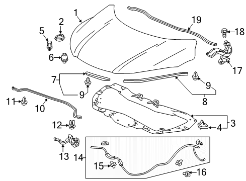 2022 Honda HR-V Hood & Components Diagram