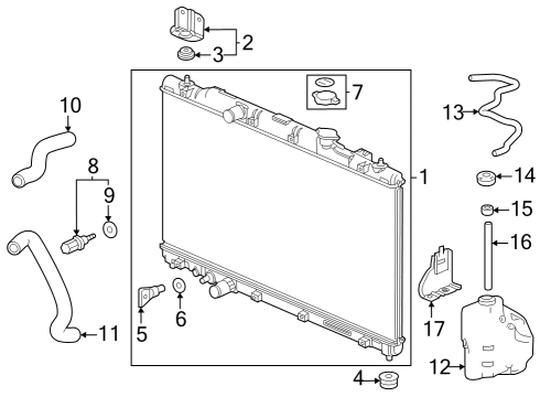 2023 Honda Accord HOSE, WATER (LOWER) Diagram for 19502-64A-A00