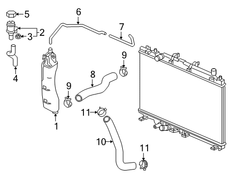 2022 Honda HR-V Hoses & Lines Diagram