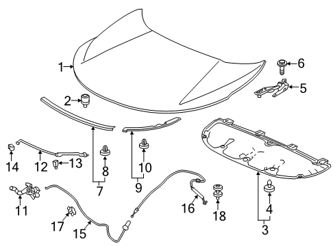 2022 Honda CR-V Hybrid Hood & Components Diagram