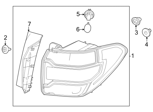 2024 Honda Pilot Tail Lamps Diagram