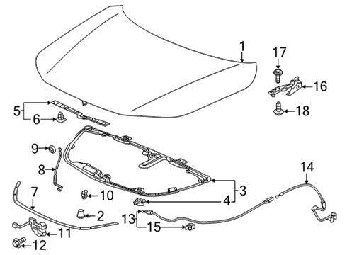 2023 Honda Civic Hood & Components Diagram 1